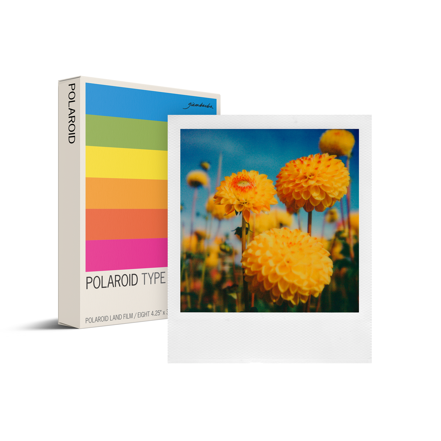 Color SX-70 Film - Paul Giambarba Spectrum Edition