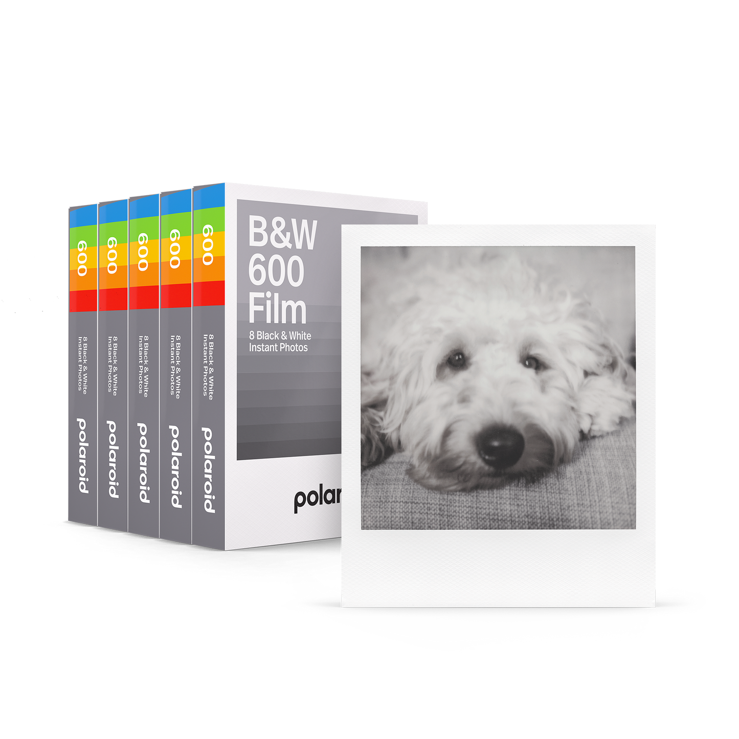 B&W 600 Film Five Pack