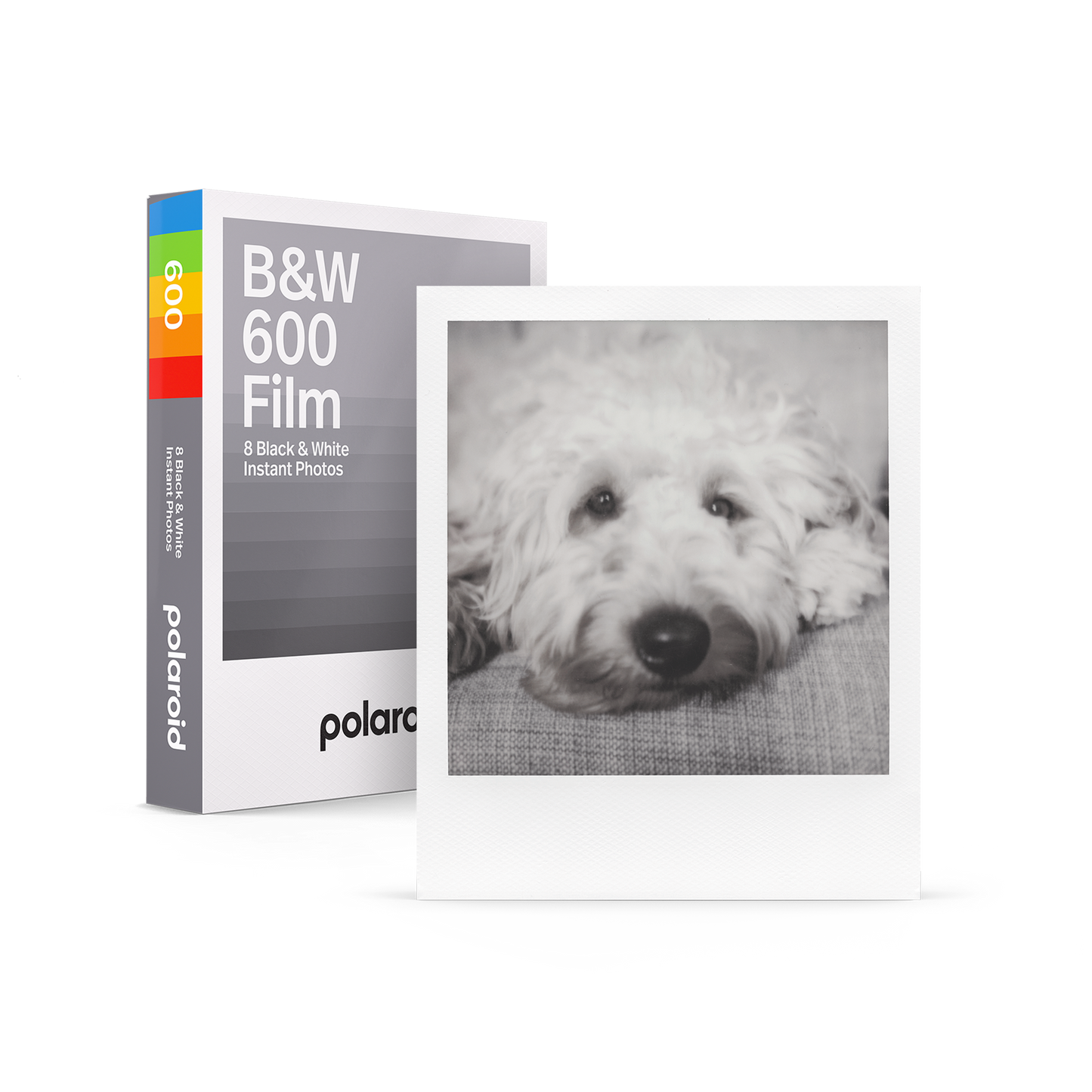 B&W 600 Film