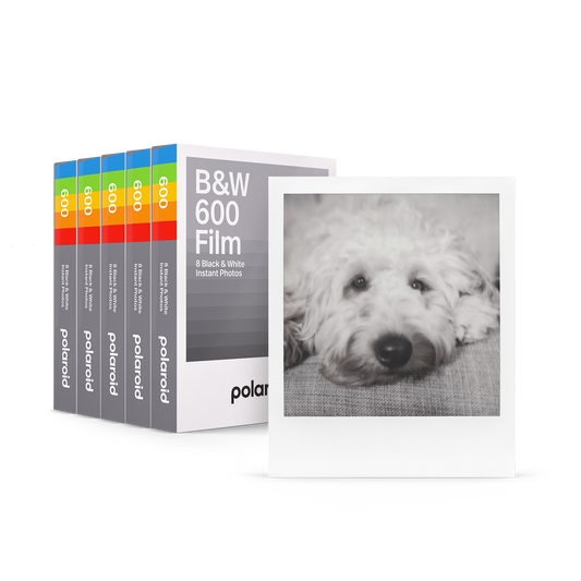 B&W 600 Film Five Pack