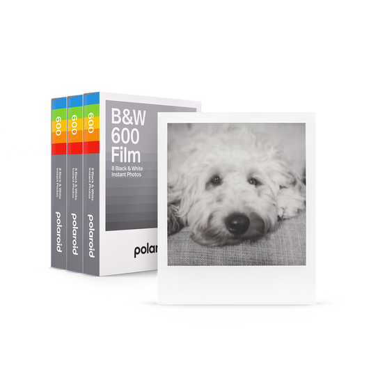 B&W 600 Film Triple Pack
