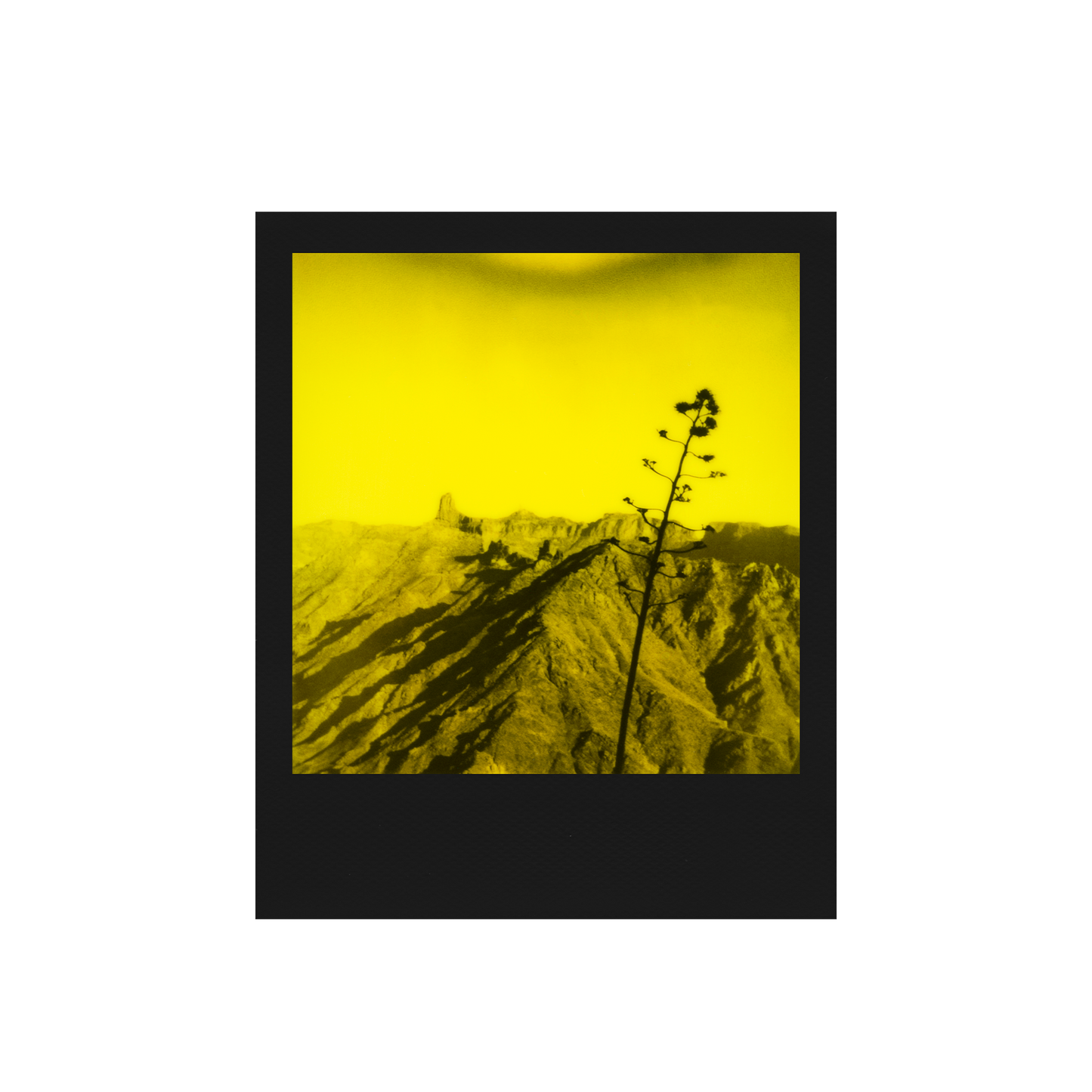 Duochrome film for 600 - Black & Yellow Edition