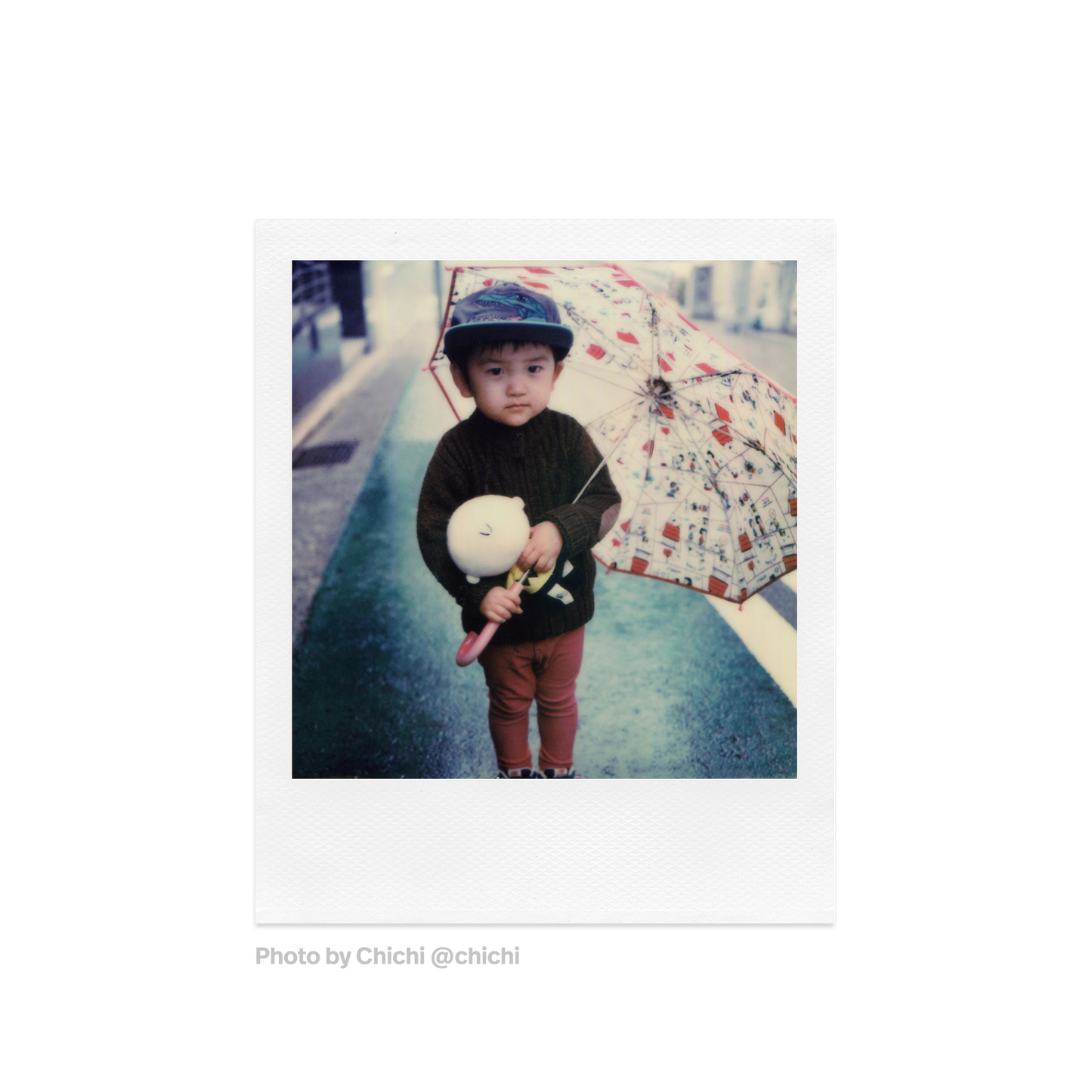 Polaroid 600 Film Color Photo