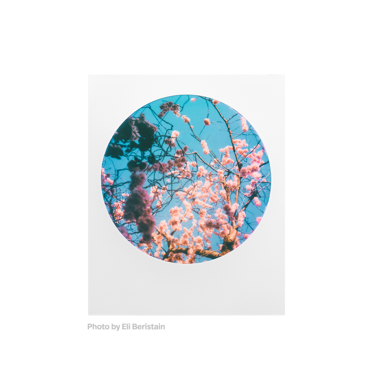 Color 600 Film - Round Frame Edition